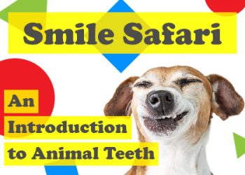 Houston dentist, Dr. Meghna Dassani at Dassani Dentistry, takes readers on an exploration of animal teeth and explains why they can be so different from creature to creature.